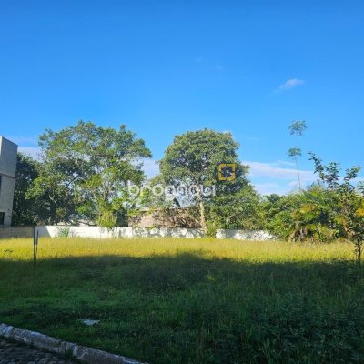 Terreno com 450m², no bairro Ratones em Florianópolis