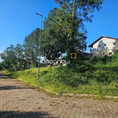 Terreno com 450m², no bairro Ratones em Florianópolis