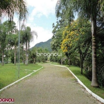 Terreno com 450m², no bairro Ratones em Florianópolis
