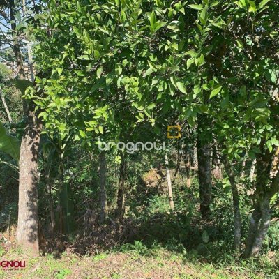 Terreno com 6184m², no bairro Bom Viver em Biguaçu
