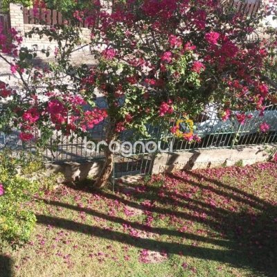 Casa com 327m², 5 quartos, 3 garagens, no bairro Ingleses do Rio Vermelho em Florianópolis