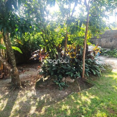 Casa com 85m², 2 quartos, 3 garagens, no bairro Ribeirão da Ilha em Florianópolis