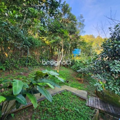 Casa com 264m², 4 quartos (sendo 1 suíte), 4 garagens, no bairro Itacorubi em Florianópolis