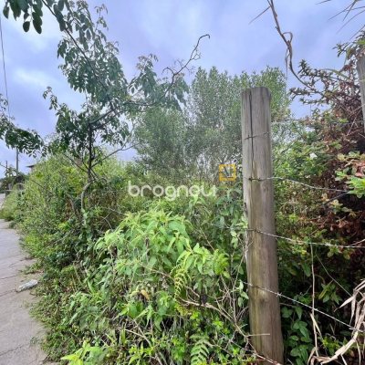Terreno com 461m², no bairro Campeche em Florianópolis