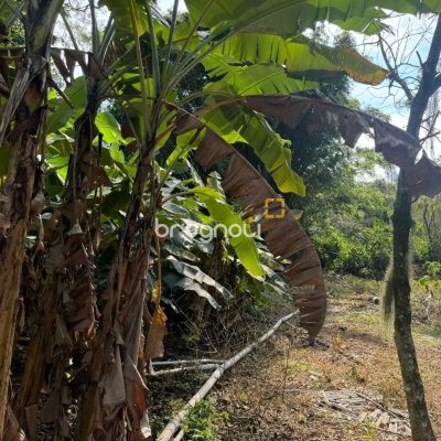 Terreno com 1036m², no bairro Rio Tavares em Florianópolis