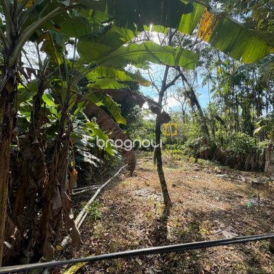 Terreno com 1036m², no bairro Rio Tavares em Florianópolis