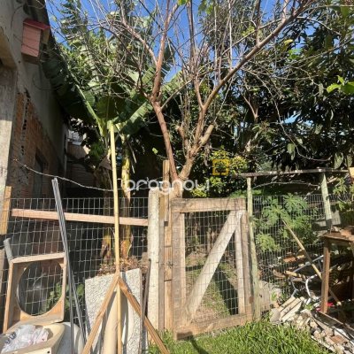 Terreno com 576m², 5 quartos, no bairro Campeche em Florianópolis