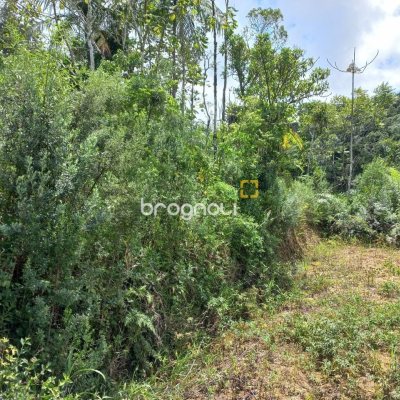 Terreno com 3780m², no bairro Fazenda do Sacramento em Águas Mornas