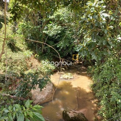 Terreno com 11000m², no bairro Fazenda do Sacramento em Águas Mornas