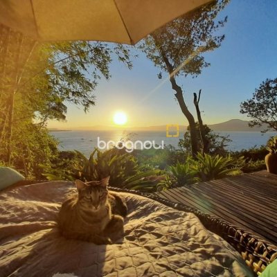 Casa Comercial com 226m², 4 garagens, no bairro Jurerê em Florianópolis