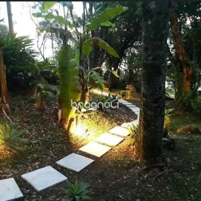 Casa Comercial com 226m², 4 garagens, no bairro Jurerê em Florianópolis