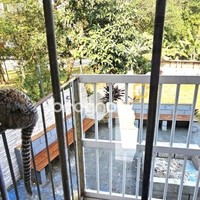 Casa com 228m², 3 quartos (sendo 1 suíte), 3 garagens, no bairro Pantanal em Florianópolis