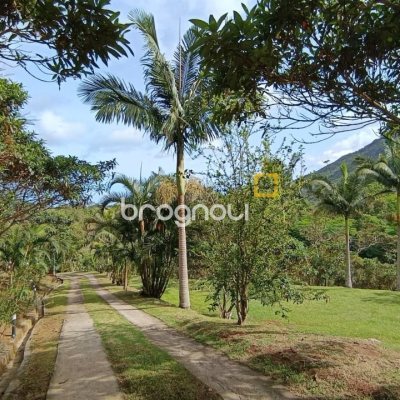 Casa com 350m², 4 quartos (sendo 4 suítes), 8 garagens, no bairro Rio Vermelho em Florianópolis