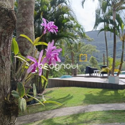 Casa com 350m², 4 quartos (sendo 4 suítes), 8 garagens, no bairro Rio Vermelho em Florianópolis