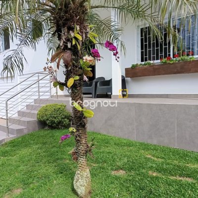 Casa com 440m², 4 quartos (sendo 1 suíte), 3 garagens, no bairro Ingleses em Florianópolis