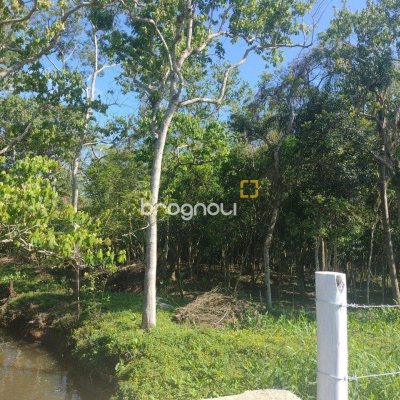 Terreno com 6394m², no bairro Ratones em Florianópolis