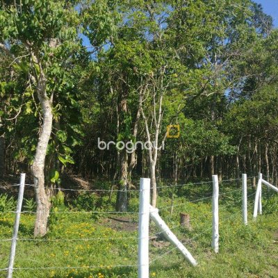 Terreno com 6394m², no bairro Ratones em Florianópolis