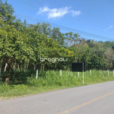 Terreno com 6394m², no bairro Ratones em Florianópolis