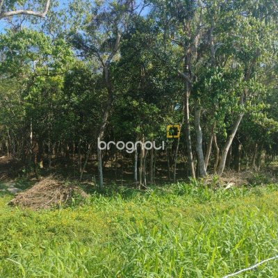 Terreno com 6394m², no bairro Ratones em Florianópolis