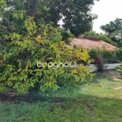 Casa com 100m², 3 quartos, no bairro Ingleses em Florianópolis