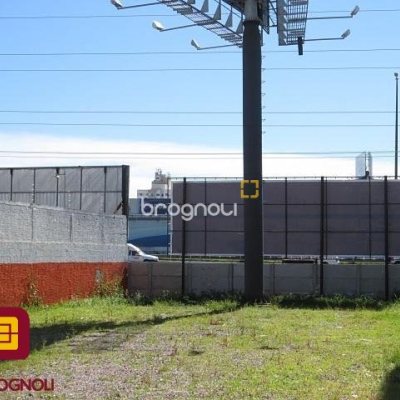 Terreno com 369m², no bairro Campinas em São José