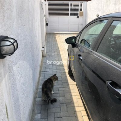 Casa com 197m², 4 quartos (sendo 1 suíte), 3 garagens, no bairro Campeche em Florianópolis