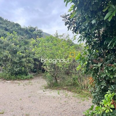 Terreno com 4215m², 3 quartos, 3 garagens, no bairro Alto Ribeirão em Florianópolis