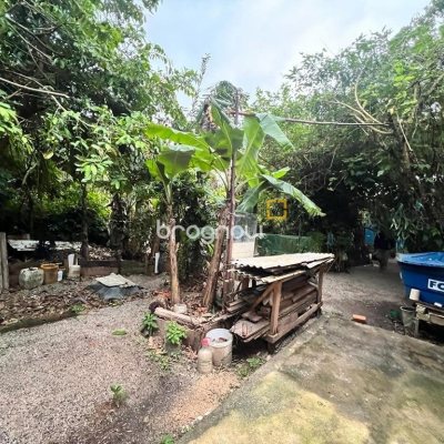 Terreno com 4215m², 3 quartos, 3 garagens, no bairro Alto Ribeirão em Florianópolis