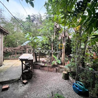 Terreno com 4215m², 3 quartos, 3 garagens, no bairro Alto Ribeirão em Florianópolis