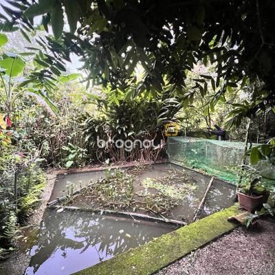 Terreno com 4215m², 3 quartos, 3 garagens, no bairro Alto Ribeirão em Florianópolis