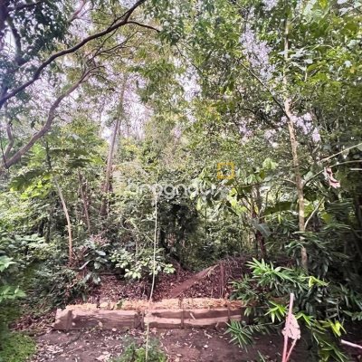 Terreno com 4215m², 3 quartos, 3 garagens, no bairro Alto Ribeirão em Florianópolis