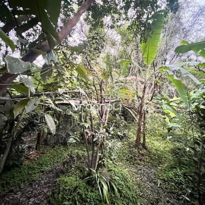 Terreno com 4215m², 3 quartos, 3 garagens, no bairro Alto Ribeirão em Florianópolis