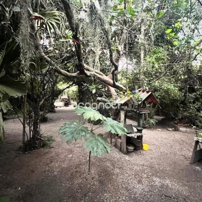 Terreno com 4215m², 3 quartos, 3 garagens, no bairro Alto Ribeirão em Florianópolis