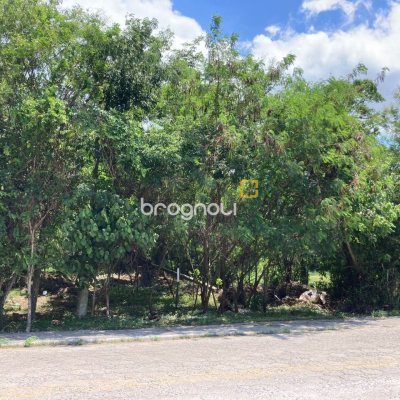 Terreno com 14520m², no bairro Ratones em Florianópolis