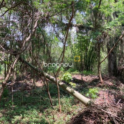 Terreno com 14520m², no bairro Ratones em Florianópolis