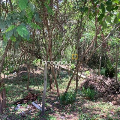 Terreno com 14520m², no bairro Ratones em Florianópolis