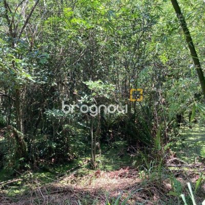 Terreno com 14520m², no bairro Ratones em Florianópolis