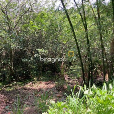 Terreno com 14520m², no bairro Ratones em Florianópolis