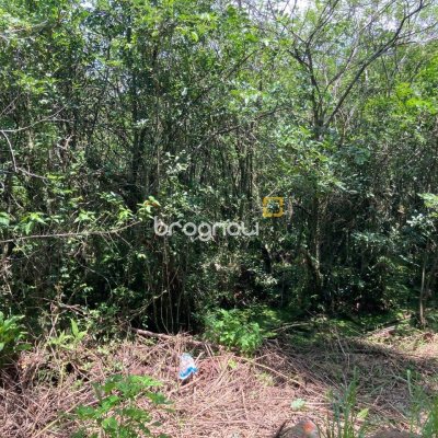 Terreno com 14520m², no bairro Ratones em Florianópolis