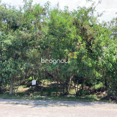 Terreno com 14520m², no bairro Ratones em Florianópolis