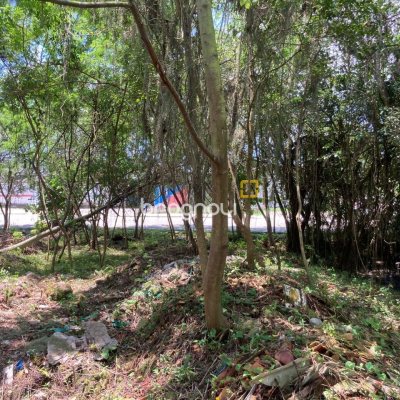 Terreno com 14520m², no bairro Ratones em Florianópolis