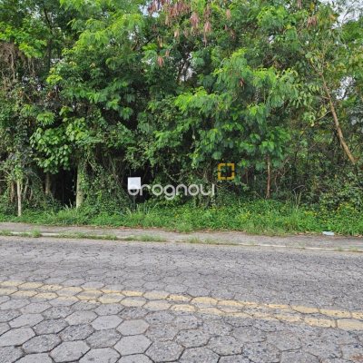 Terreno com 14520m², no bairro Ratones em Florianópolis