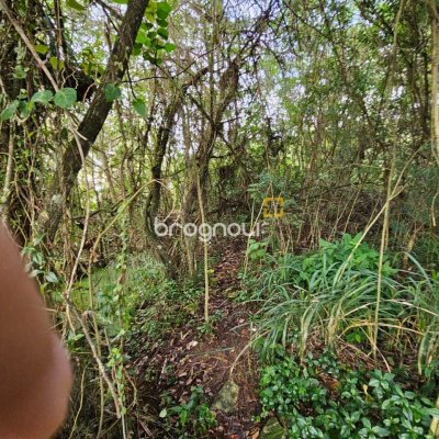 Terreno com 14520m², no bairro Ratones em Florianópolis