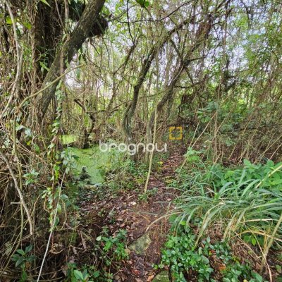 Terreno com 14520m², no bairro Ratones em Florianópolis