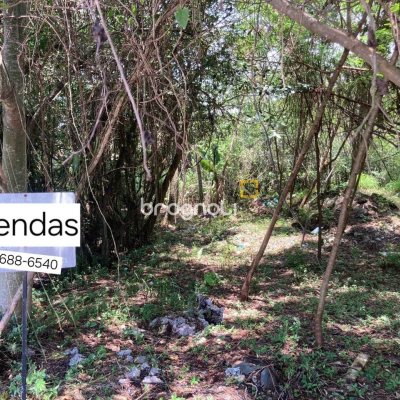 Terreno com 14520m², no bairro Ratones em Florianópolis