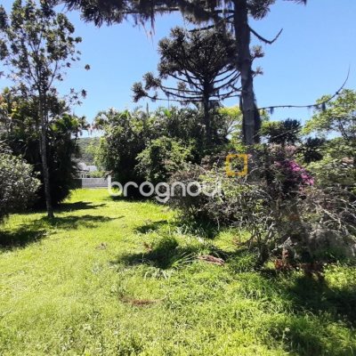 Terreno com 11452m², no bairro Vargem Grande em Florianópolis
