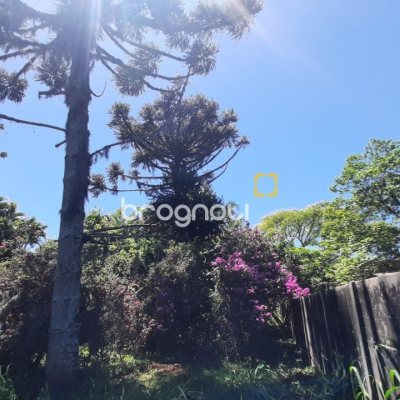 Terreno com 11452m², no bairro Vargem Grande em Florianópolis
