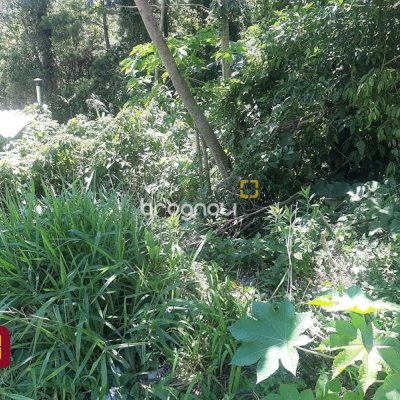 Terreno com 396m², no bairro Forquilhas em São José