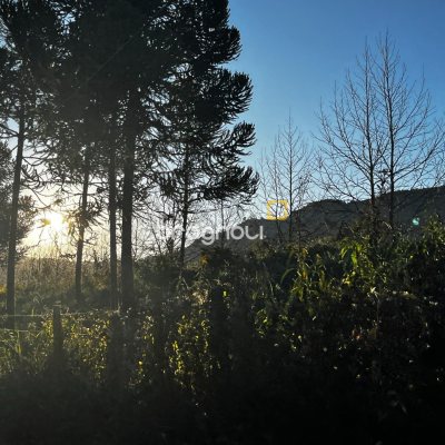 Terreno com 1164m², no bairro Invernadinha em Rancho Queimado