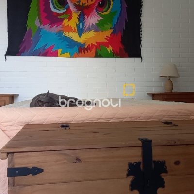 Casa com 136m², 3 quartos (sendo 1 suíte), 2 garagens, no bairro Campeche em Florianópolis